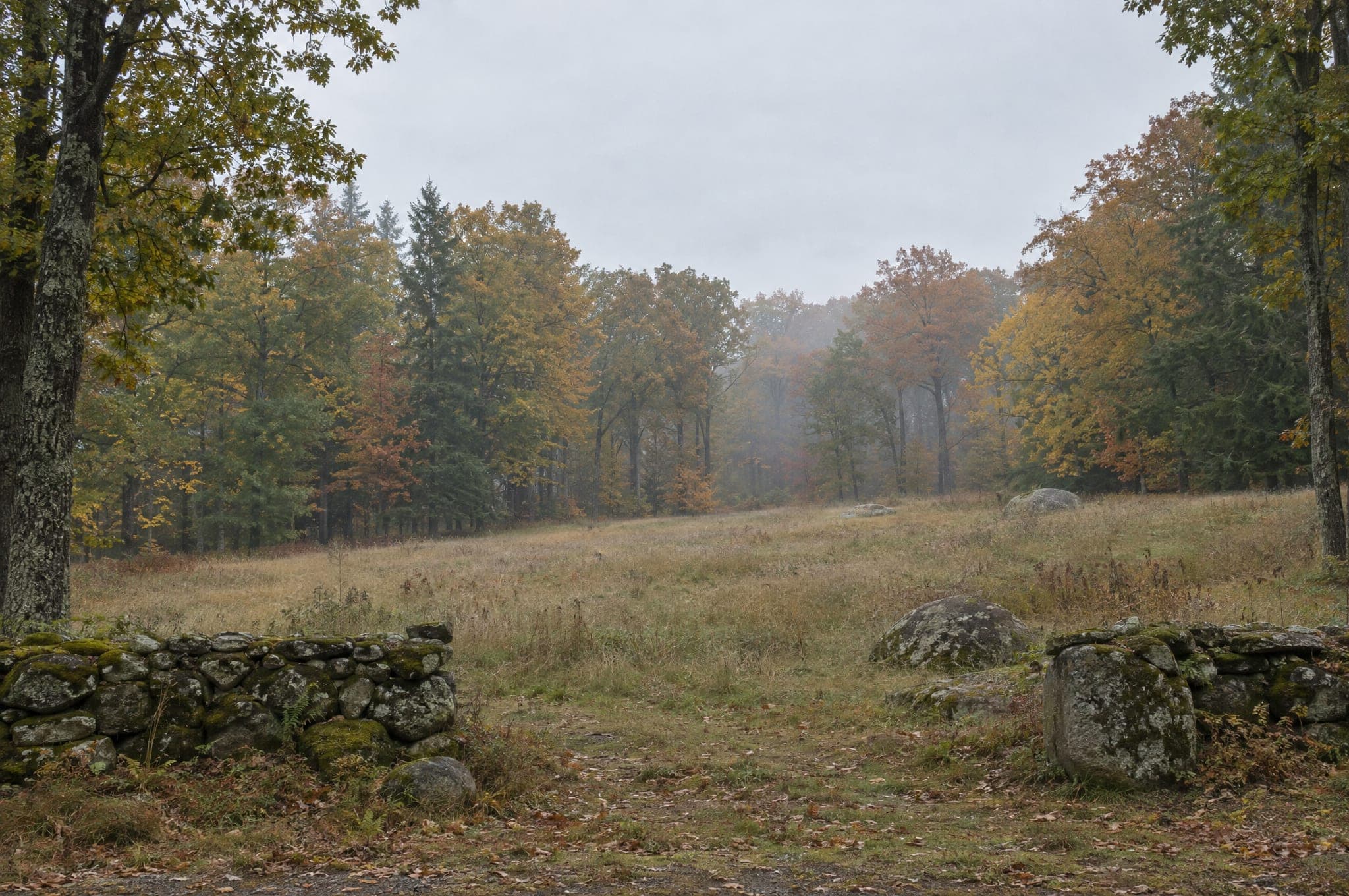 An unbuilt homesite: a meadow clearing edged by an old mossy stone wall and boulders, inside mature woodland turning to autumn