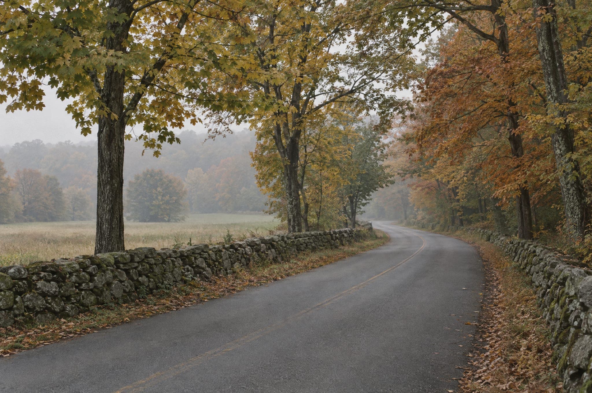 A quiet country road between old fieldstone walls under maples and oaks in early autumn, with a misty meadow beyond the wall